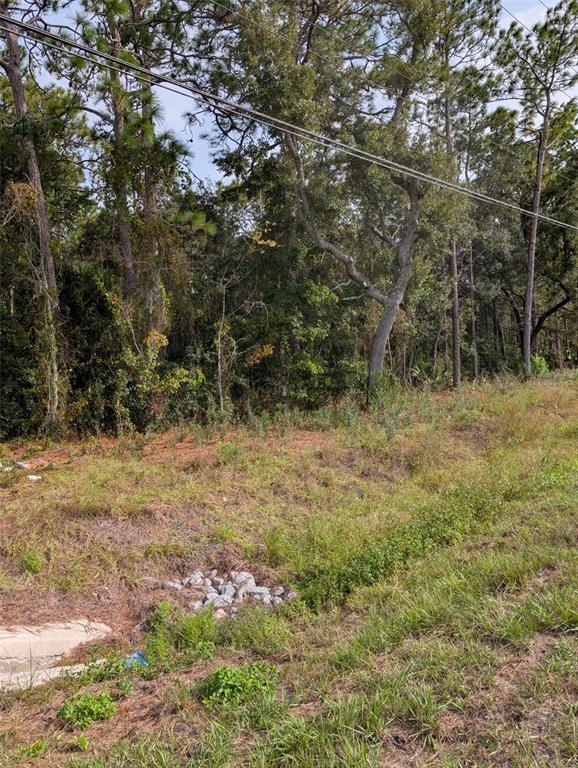 Property for sale at 9115 S SUNCOAST BLVD, HOMOSASSA, FL, 34446