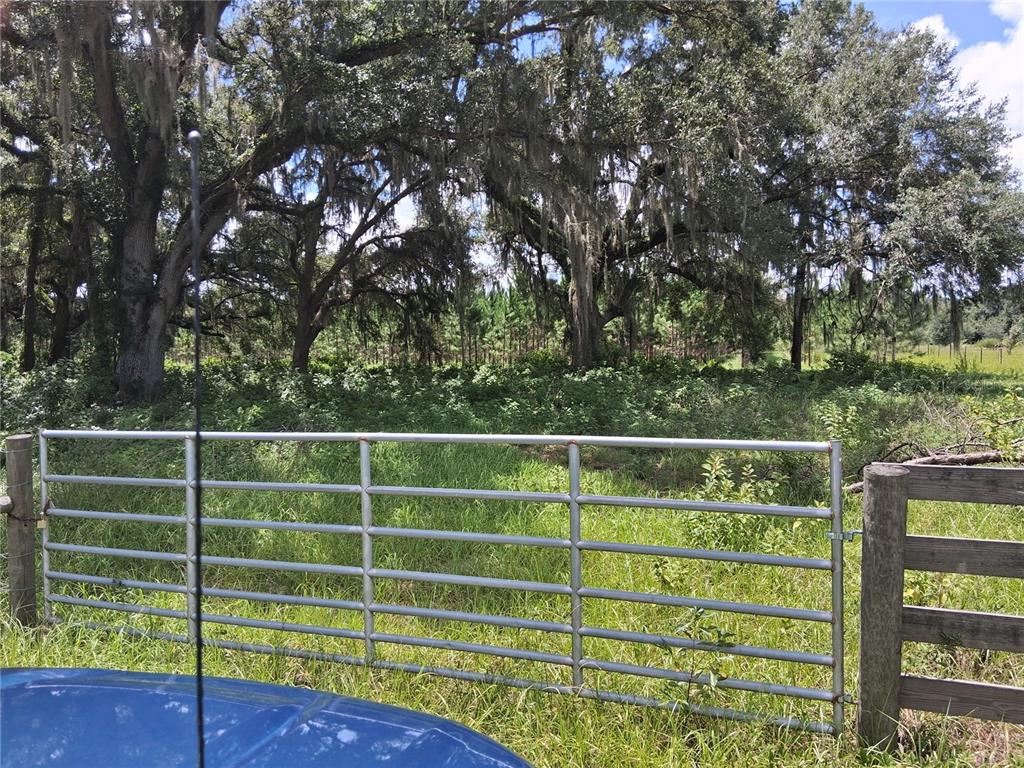 Property for sale at 409 COUNTY ROAD 542E, BUSHNELL, FL, 33513