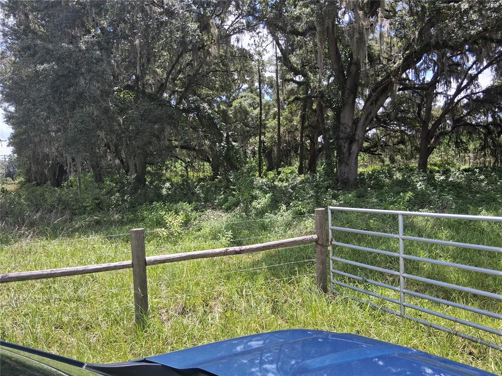Property for sale at 409 COUNTY ROAD 542E, BUSHNELL, FL, 33513