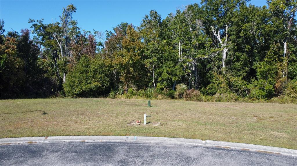 Property for sale at 0 FOREST GLENN DRIVE, SPRING HILL, FL, 34607