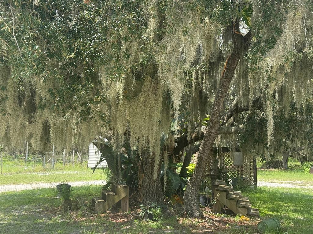 Property for sale at 17011 ALDERMAN TURNER ROAD, WIMAUMA, FL, 33598