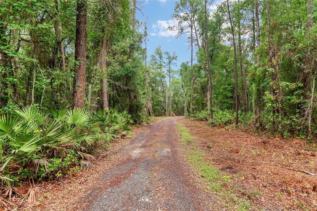 Property for sale at 7622 SE COUNTY ROAD 234, GAINESVILLE, FL, 32641