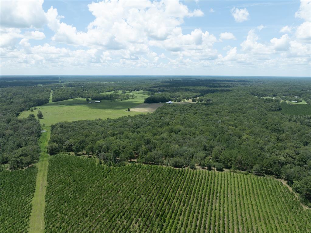 Property for sale at 0 NW CR 225, STARKE, FL, 32091