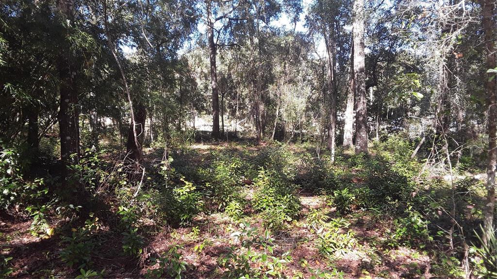 Property for sale at 13231 BISSELL DRIVE, PUNTA GORDA, FL, 33955