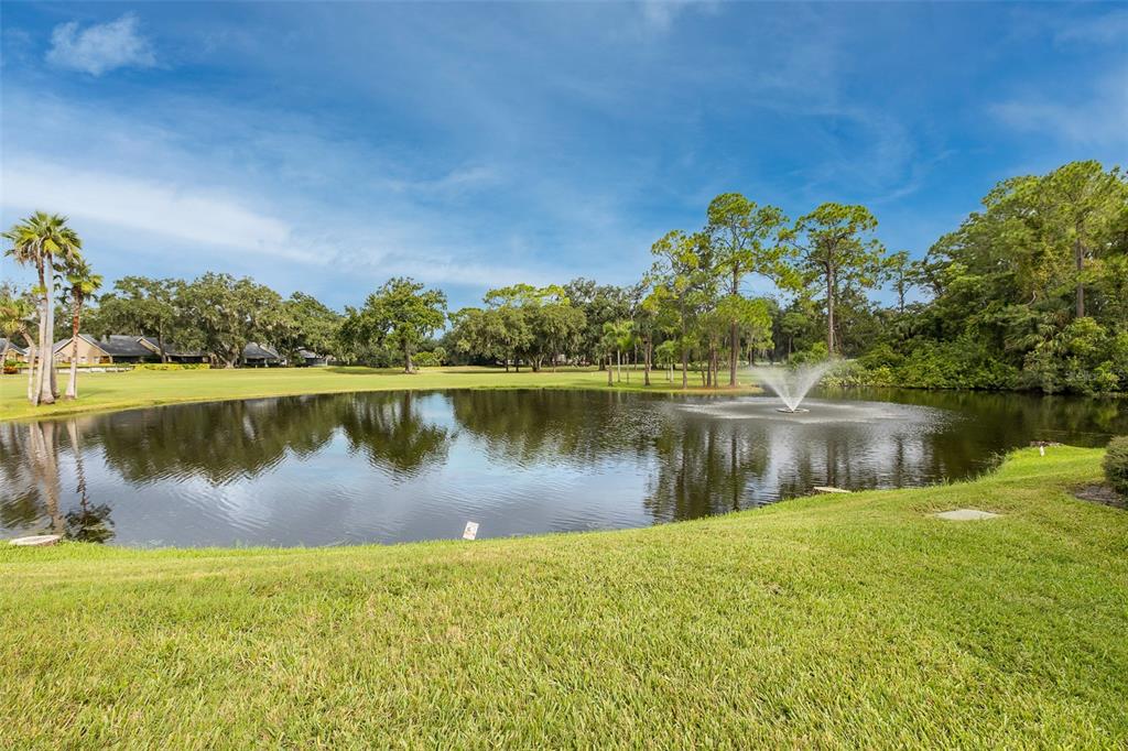 Property for sale at 3637 DOWNFIELD PLACE, NEW PORT RICHEY, FL, 34655