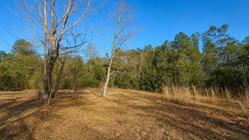 Property for sale at 14175 SE 209TH TERRACE, UMATILLA, FL, 32784