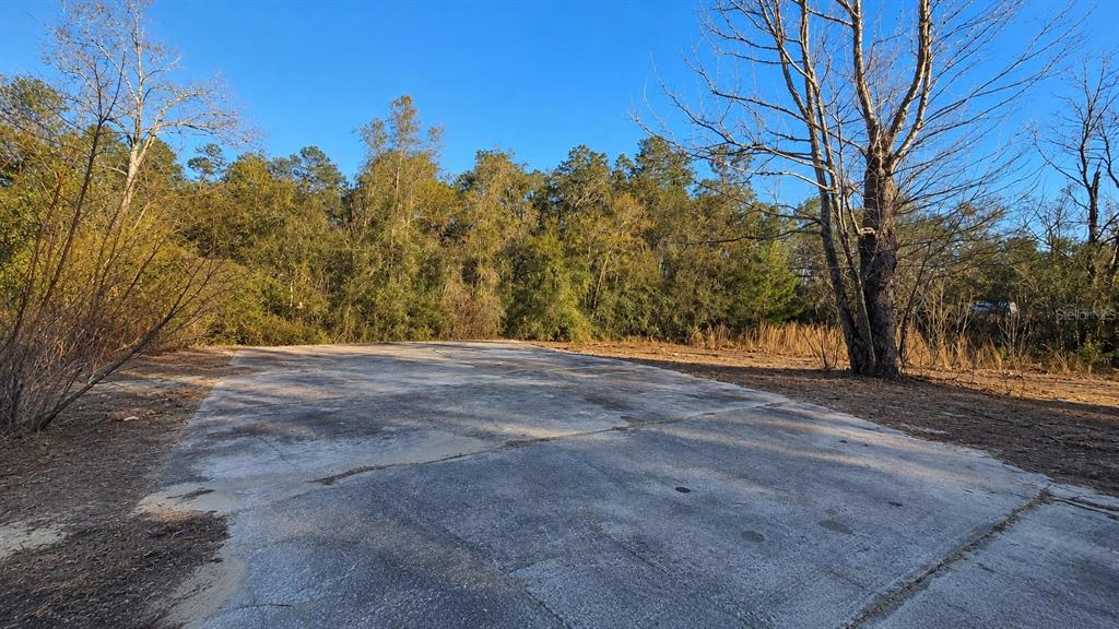 Property for sale at 14175 SE 209TH TERRACE, UMATILLA, FL, 32784