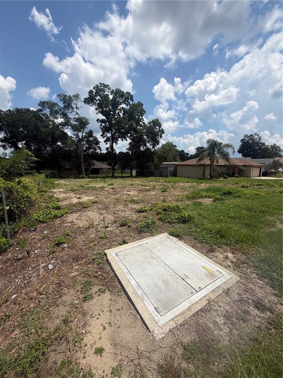 Property for sale at 0000 SE HIGHWAY 42, SUMMERFIELD, FL, 34491