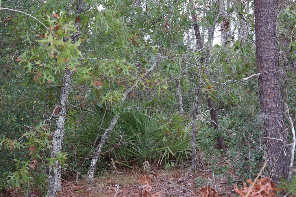 Property for sale at 9478 N TIMBER CREEK TERRACE, DUNNELLON, FL, 34433