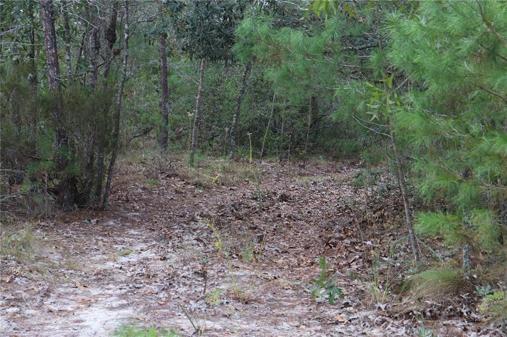 Property for sale at 9478 N TIMBER CREEK TERRACE, DUNNELLON, FL, 34433