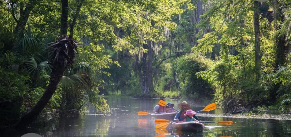 Property for sale at 14263 NE 252ND COURT ROAD UNIT 114, SALT SPRINGS, FL, 32134