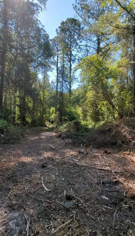 Property for sale at TBD SW 126TH AVENUE, LAKE BUTLER, FL, 32054
