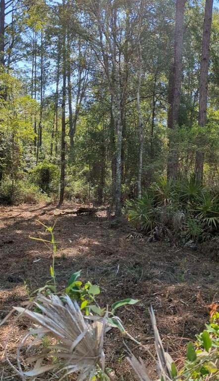 Property for sale at TBD SW 126TH AVENUE, LAKE BUTLER, FL, 32054