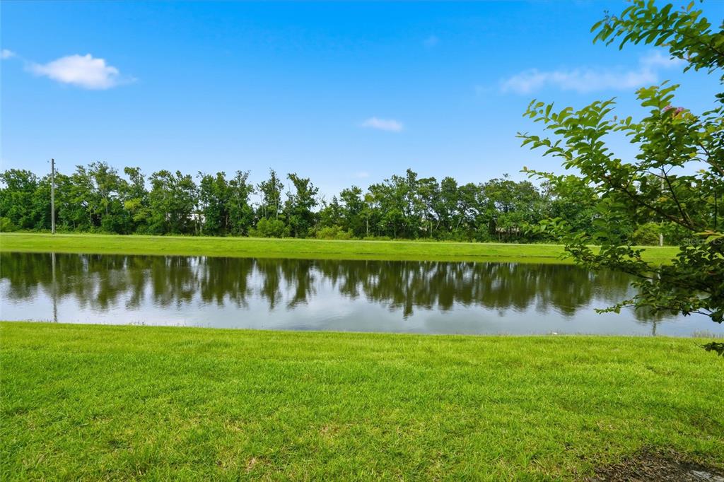 Backyard view
