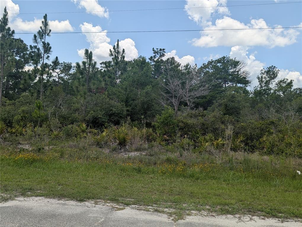 Property for sale at CORAL GABLES DRIVE, INDIAN LAKE ESTATES, FL, 33855