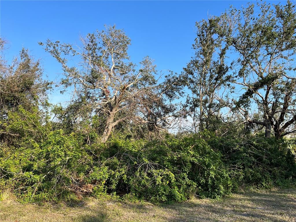Property for sale at 236 DENVER DRIVE, PORT CHARLOTTE, FL, 33954