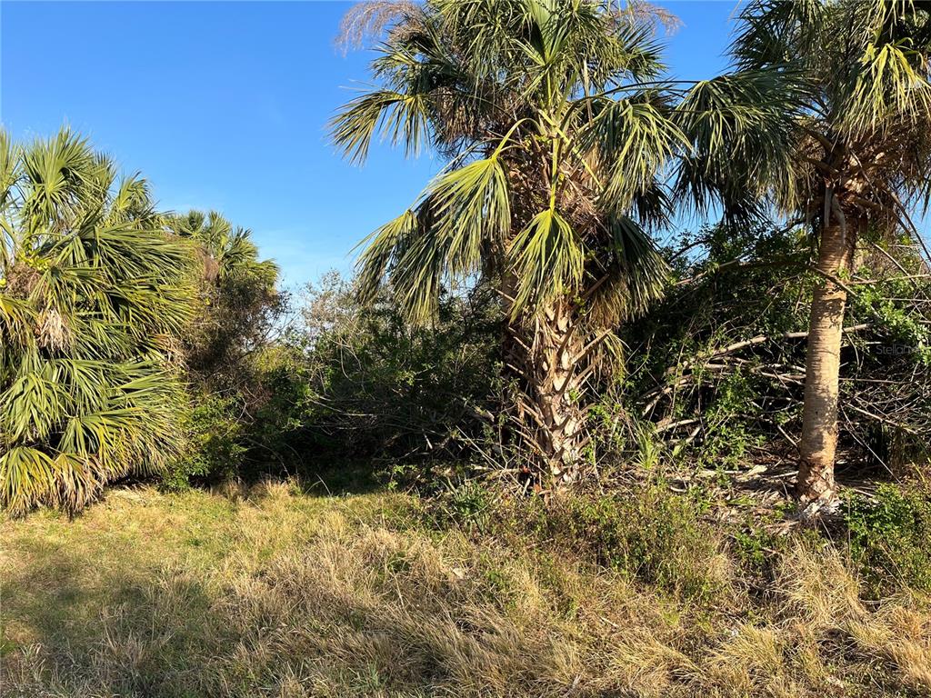 Property for sale at 236 DENVER DRIVE, PORT CHARLOTTE, FL, 33954