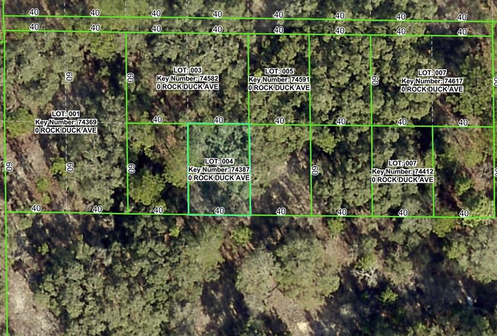 Property for sale at ROCK DUCK AVENUE, BROOKSVILLE, FL, 34614