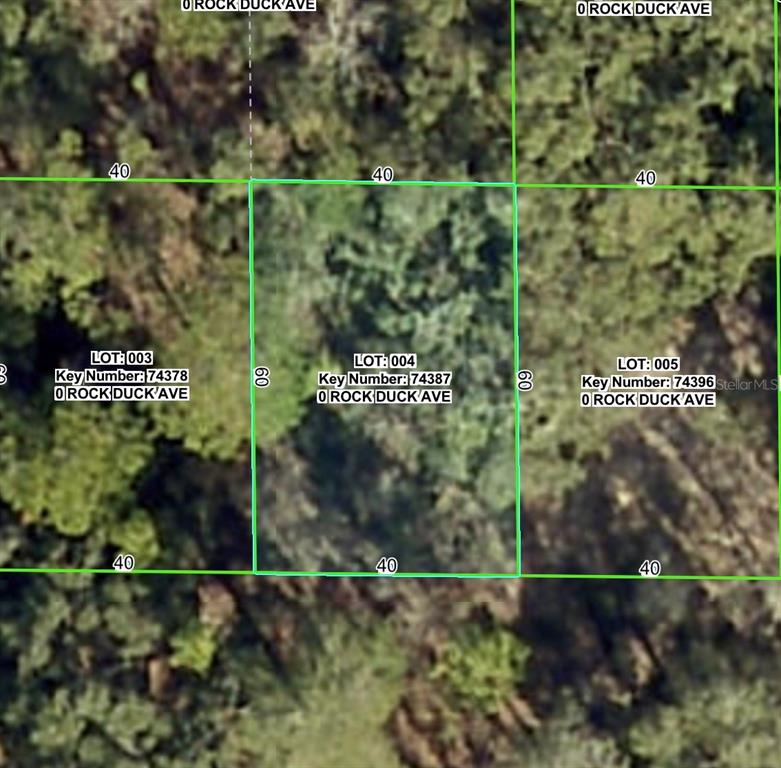 Property for sale at ROCK DUCK AVENUE, BROOKSVILLE, FL, 34614