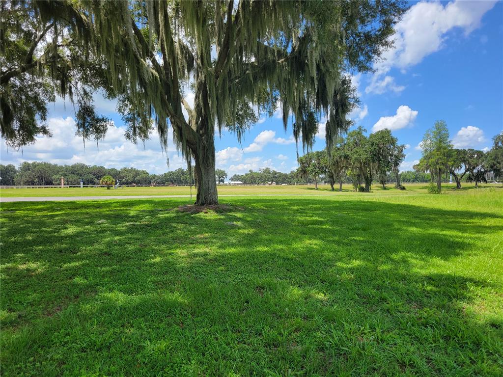 Property for sale at 0 SE 61ST TERRACE ROAD UNIT 16, SUMMERFIELD, FL, 34491