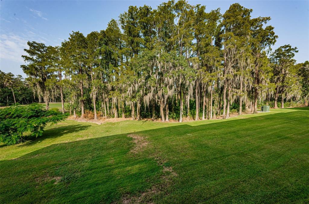 Property for sale at 36750 US HIGHWAY 19 N UNIT 3-209, PALM HARBOR, FL, 34683