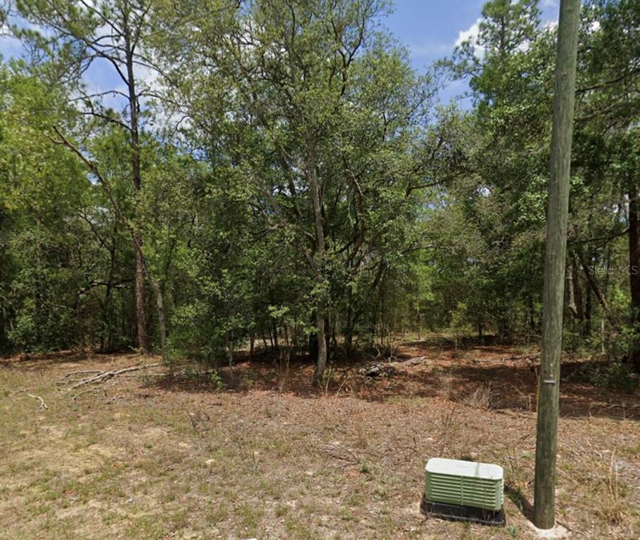 Property for sale at 11304 N FUEGO DRIVE, CITRUS SPRINGS, FL, 34434