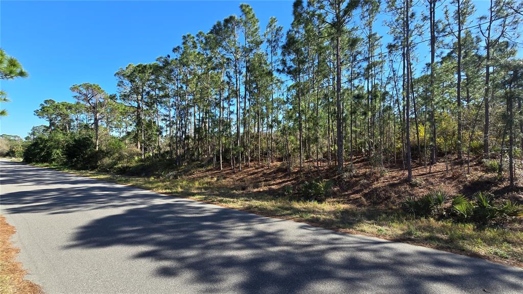 Property for sale at 103 SENTIMENTAL COURT, LAKE PLACID, FL, 33852