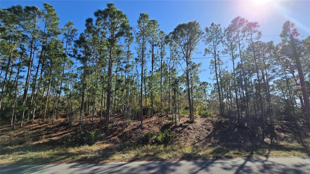 Property for sale at 103 SENTIMENTAL COURT, LAKE PLACID, FL, 33852