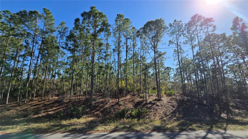 Property for sale at 103 SENTIMENTAL COURT, LAKE PLACID, FL, 33852
