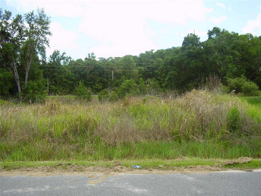 Property for sale at 1409 TEAL DRIVE, KISSIMMEE, FL, 34759