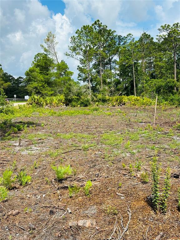 Property for sale at 2873 LAUREL ROAD, DELAND, FL, 32724