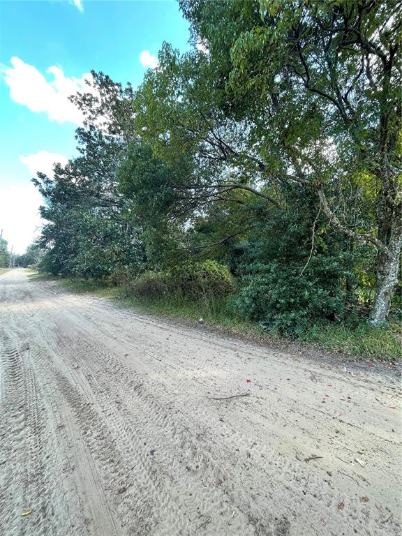Property for sale at 20180 SE 141ST STREET, UMATILLA, FL, 32784