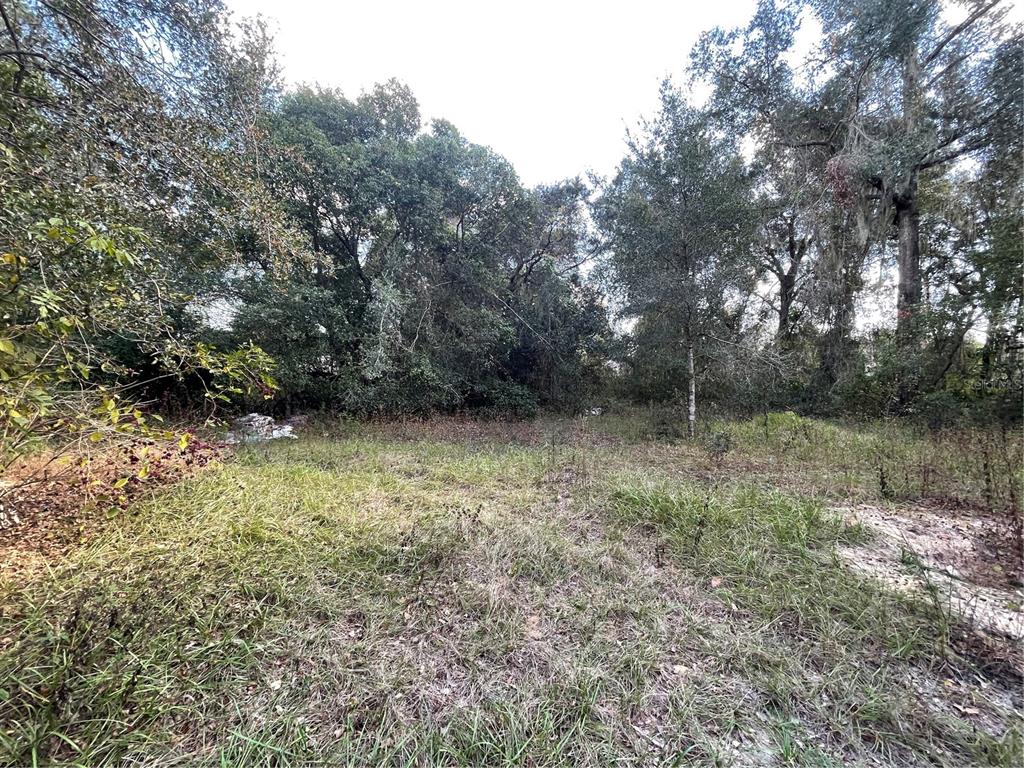 Property for sale at 20180 SE 141ST STREET, UMATILLA, FL, 32784