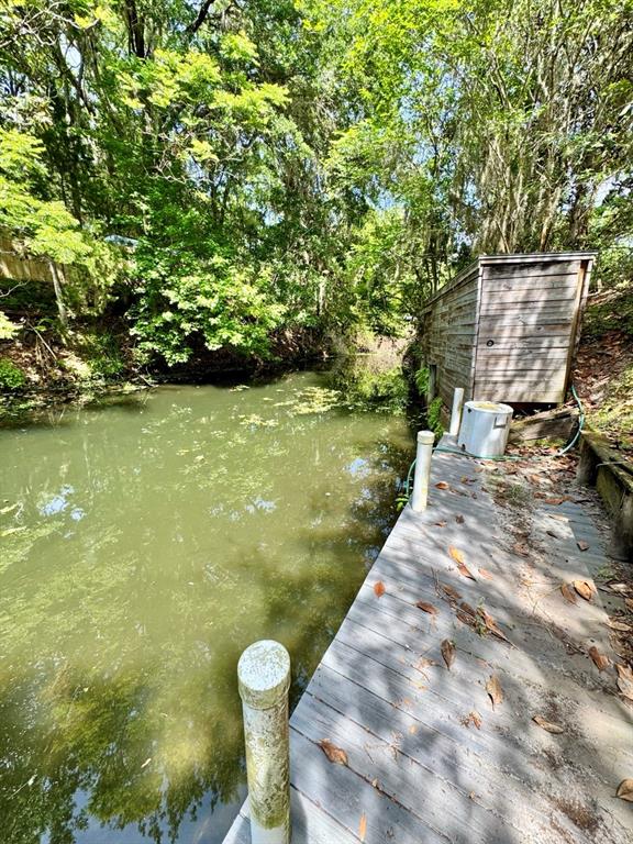 Property for sale at 30391 NE 97TH PLACE, SALT SPRINGS, FL, 32134