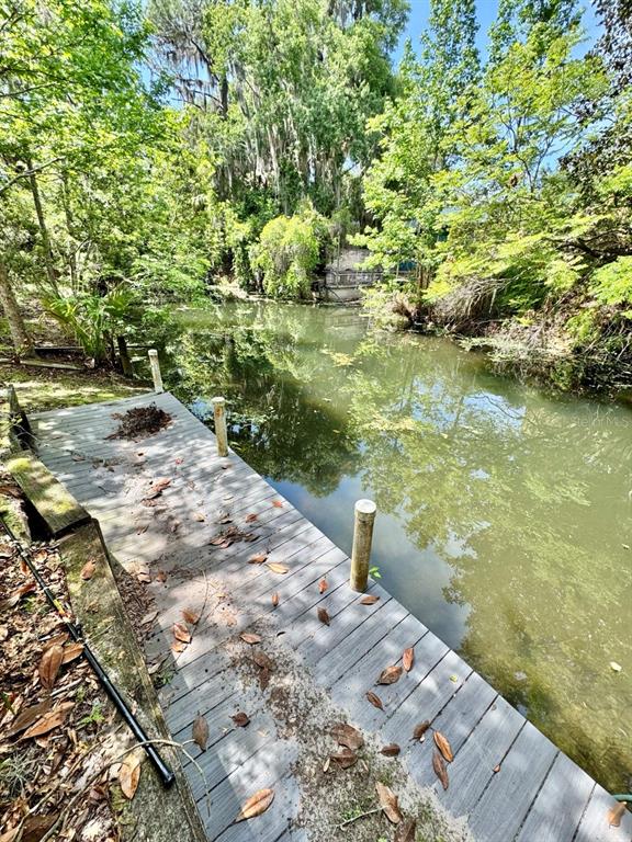 Property for sale at 30391 NE 97TH PLACE, SALT SPRINGS, FL, 32134