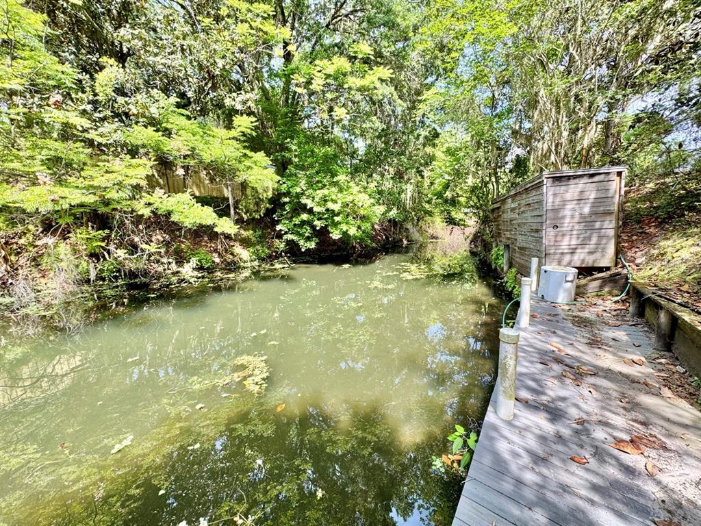 Property for sale at 30391 NE 97TH PLACE, SALT SPRINGS, FL, 32134