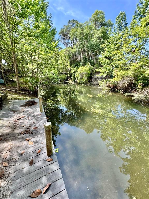 Property for sale at 30391 NE 97TH PLACE, SALT SPRINGS, FL, 32134