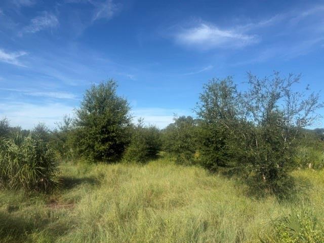 Property for sale at WELCOME ROAD Lot 1, LITHIA, FL, 33547