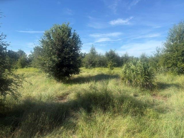 Property for sale at WELCOME ROAD Lot 1, LITHIA, FL, 33547