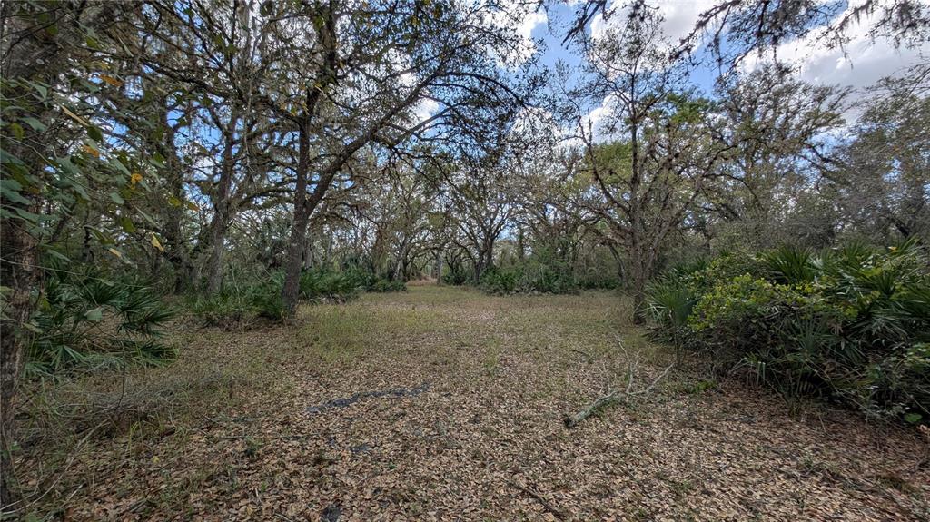 Property for sale at GILLETTE ROAD, ZOLFO SPRINGS, FL, 33890