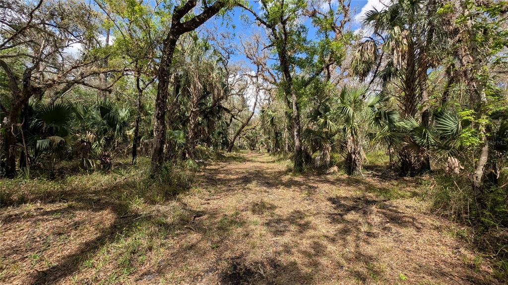 Property for sale at GILLETTE ROAD, ZOLFO SPRINGS, FL, 33890