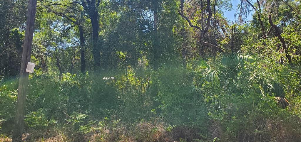 Property for sale at DOAKS STREET, NEW PORT RICHEY, FL, 34654