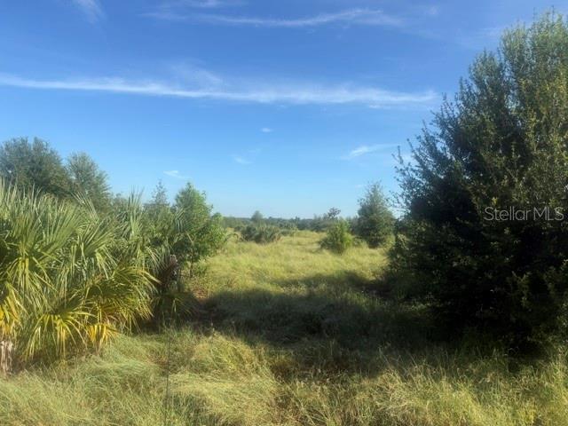 Property for sale at WELCOME ROAD Lot 2, LITHIA, FL, 33547