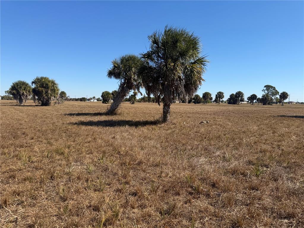 Property for sale at 24 LARK DRIVE, PLACIDA, FL, 33946