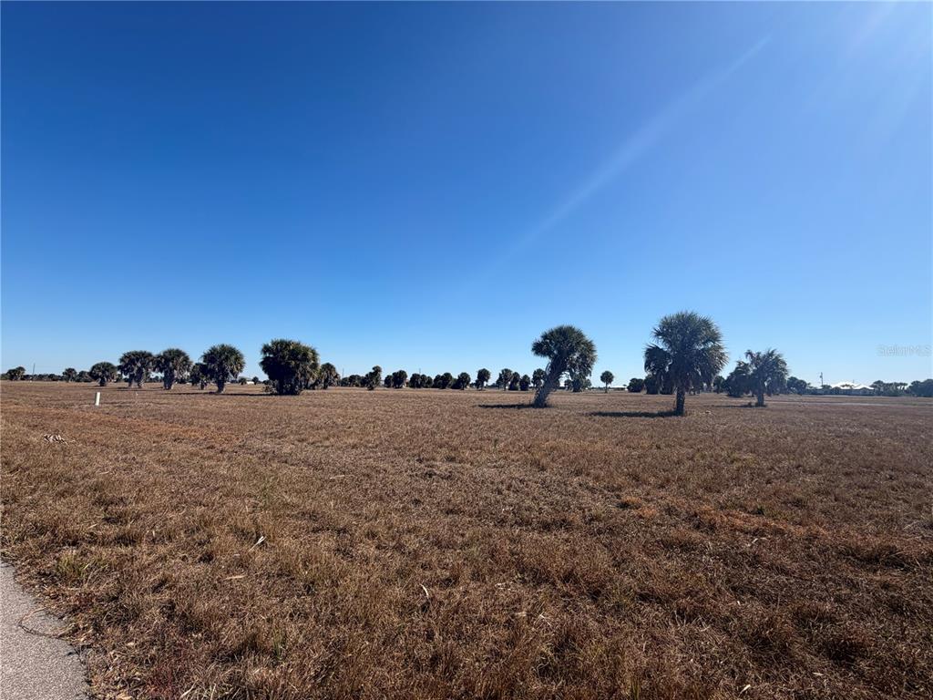 Property for sale at 24 LARK DRIVE, PLACIDA, FL, 33946