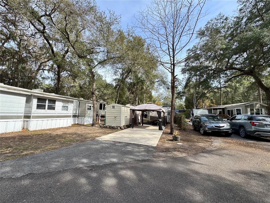 Property for sale at SALT SPRINGS, FL, 32134