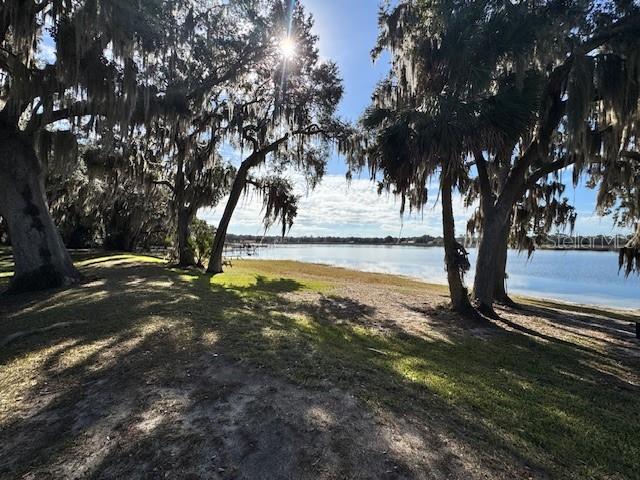 Property for sale at SALT SPRINGS, FL, 32134