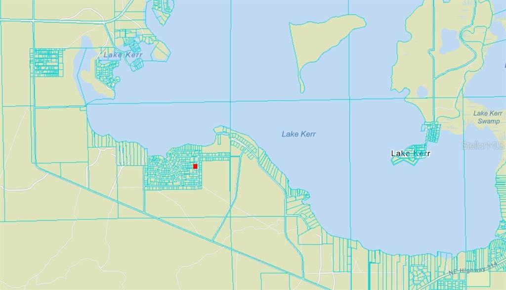 Property for sale at NE 134 PL, SALT SPRINGS, FL, 32134