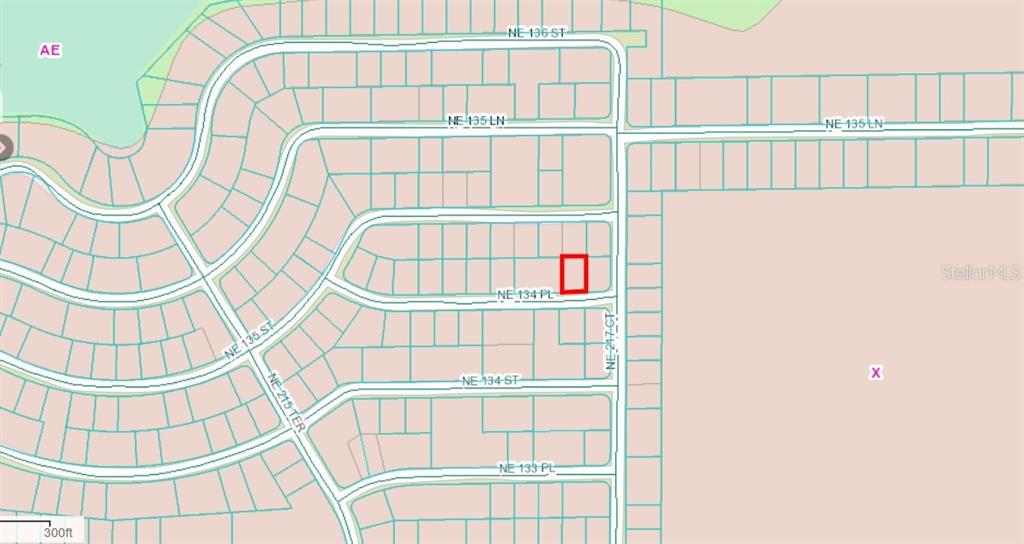 Property for sale at NE 134 PL, SALT SPRINGS, FL, 32134
