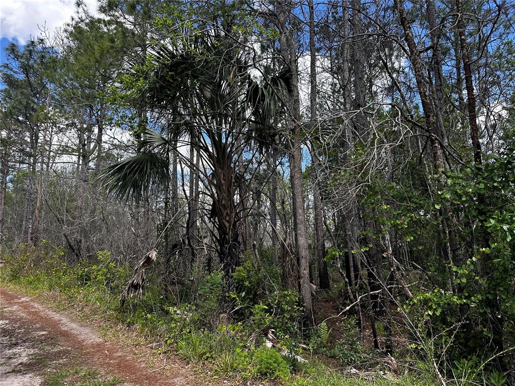 Property for sale at 00 KOLA ROAD, NEW SMYRNA BEACH, FL, 32168